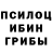 Псилоцибиновые грибы прущие грибы DADAEV YT