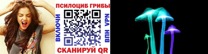 Купить где  Мантурово  Псилоцибиновые грибы Psilocybine cubensis 
